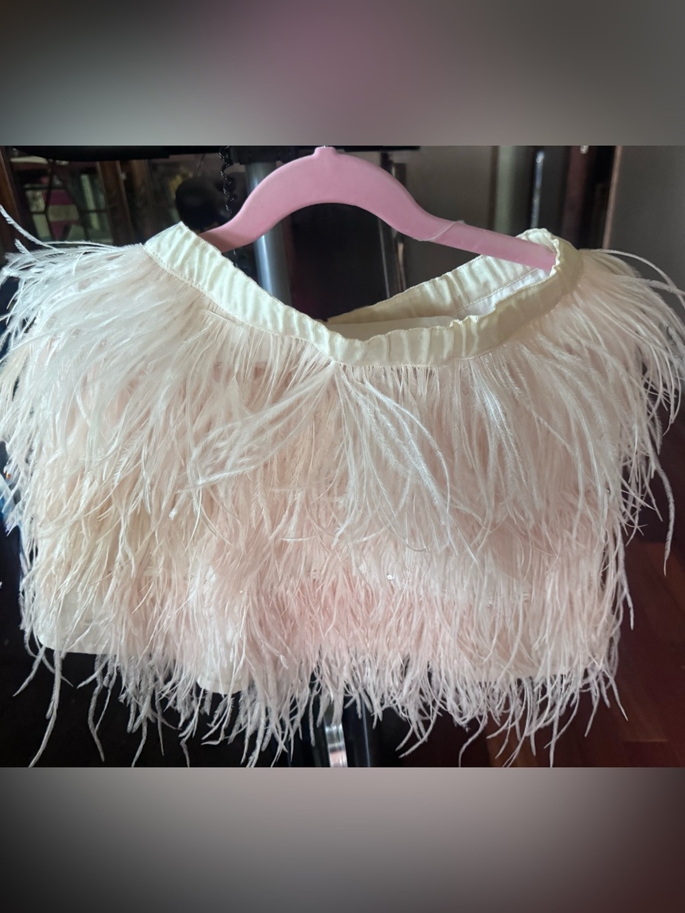 Tutu Du Monde Feather Trim Mini Skirt in Pale Blush